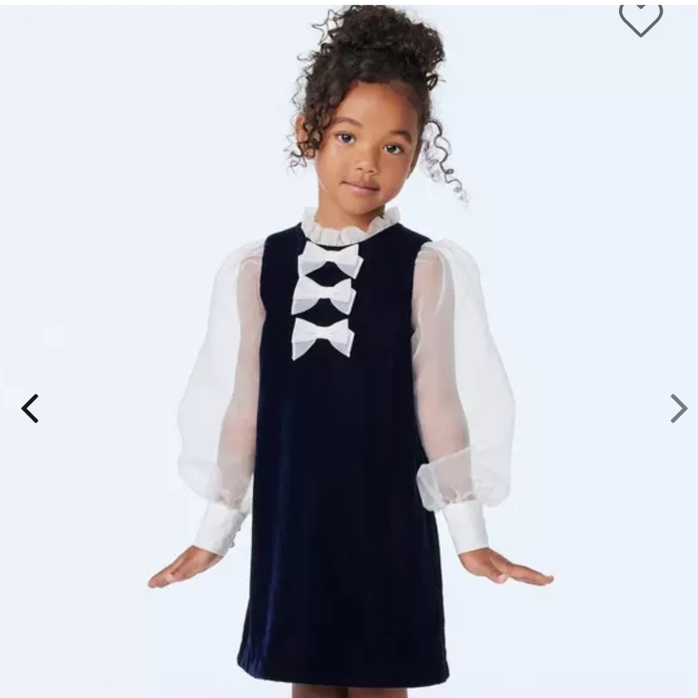 Janie and Jack Navy Velvet Dress